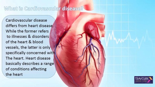 ⁣Cardiovascular And Heart Disease