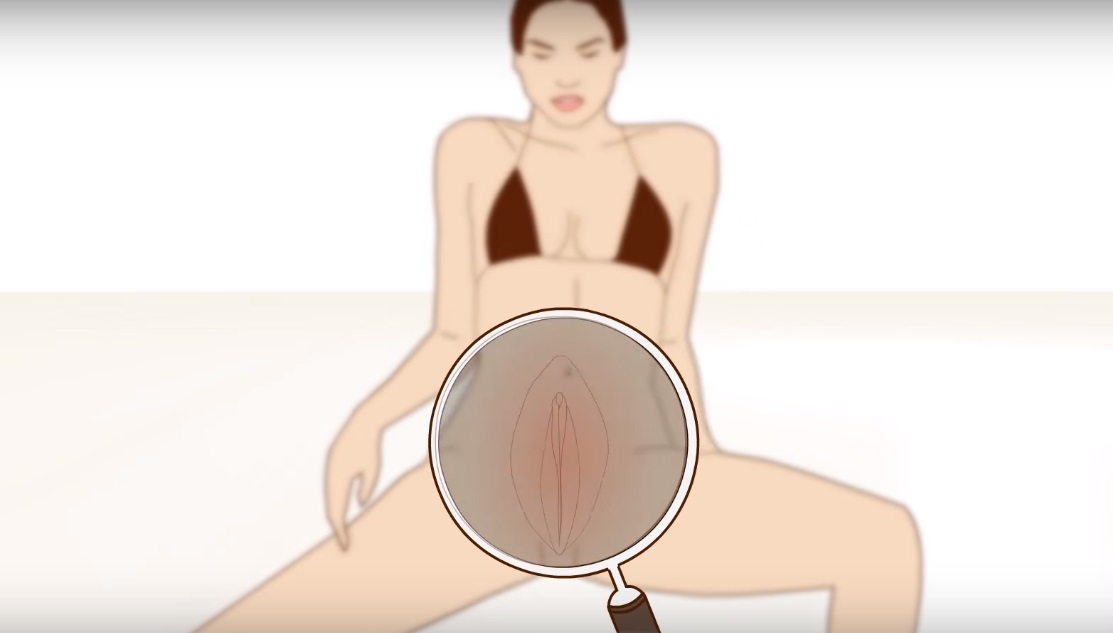 ⁣Medical Videos - The Female Orgasm Explained