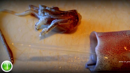 ⁣Horrifying Creatures Found Living Inside Human Bodies