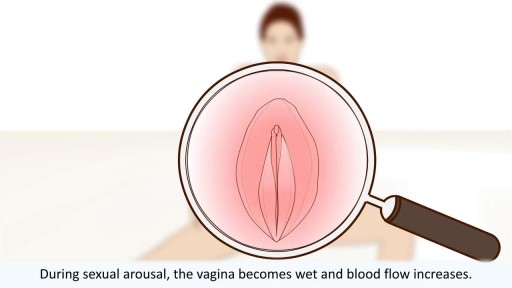 ⁣Women Medical Health - The Female Orgasm Explained