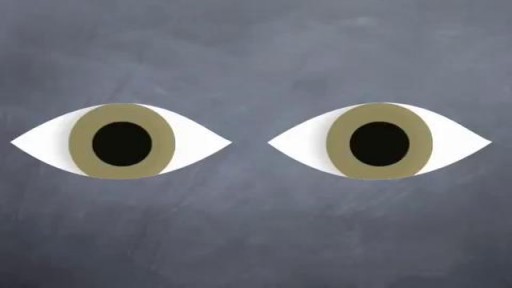 ⁣How to Examine Normal Pupils