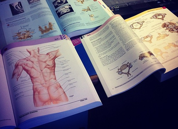 How to Study The Human Anatomy