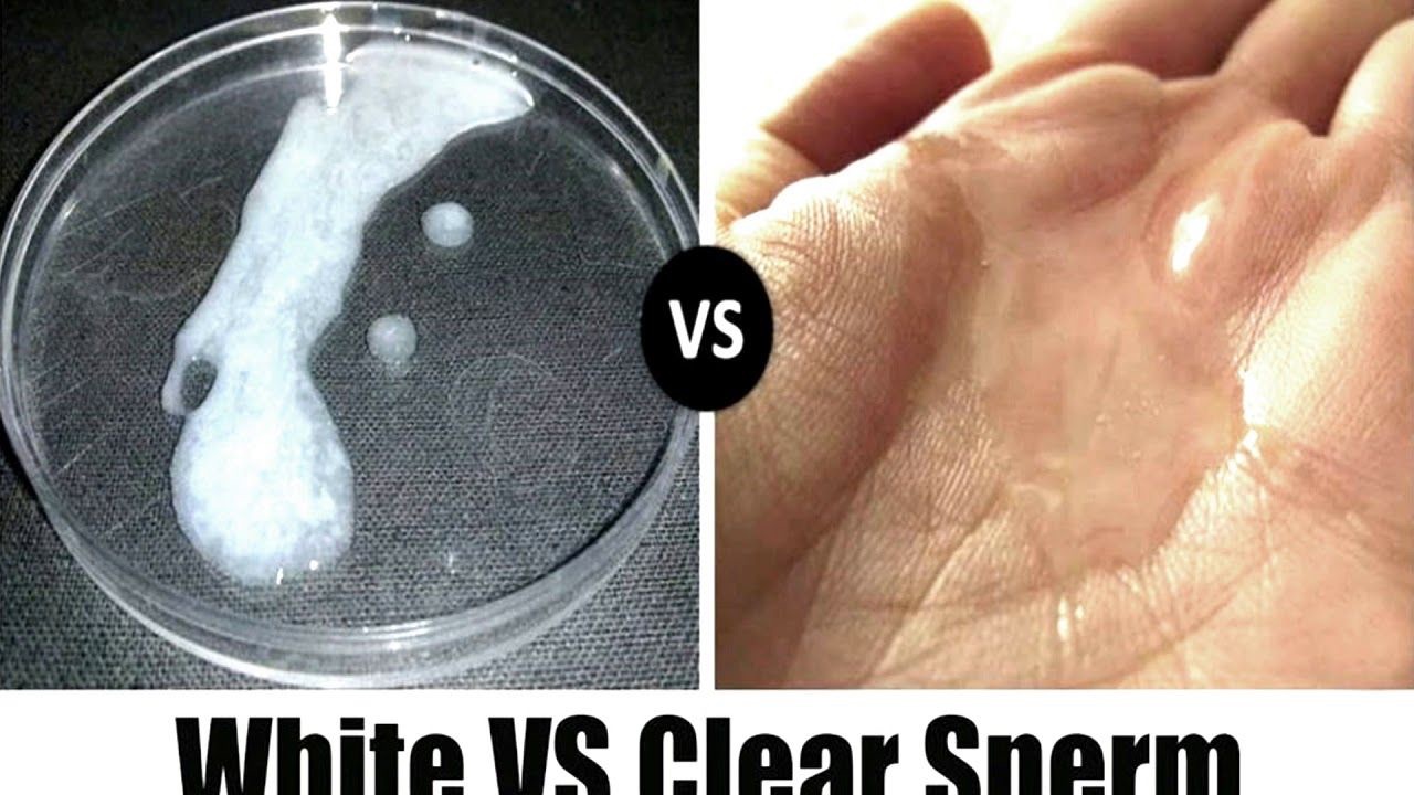 Men Health - Difference Between White and Clear Sperm