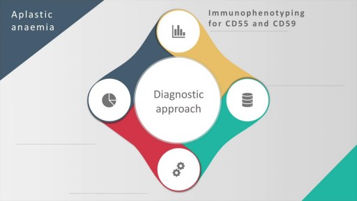 Aplastic anemia: causes, diagnosis and managment