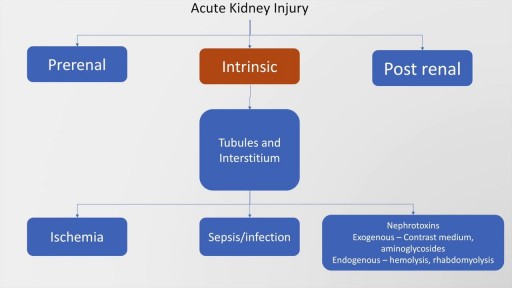 ⁣Acute kidney injury: mechanism, diagnosis and management