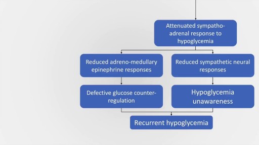 ⁣Hypoglycaemia: causes, features and management