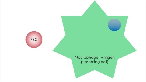 Hemophagocytic Lymphohistiocytosis