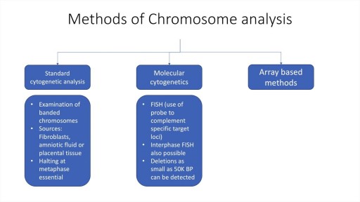 Chromosome disorders: An introduction