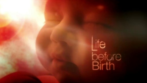 Life Before Birth  In the Womb