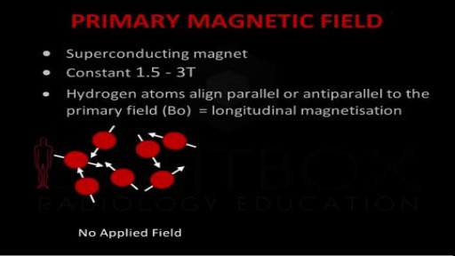 Introduction to MRI Physics