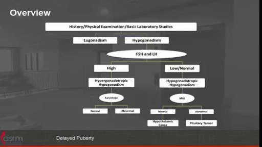 Delayed Puberty