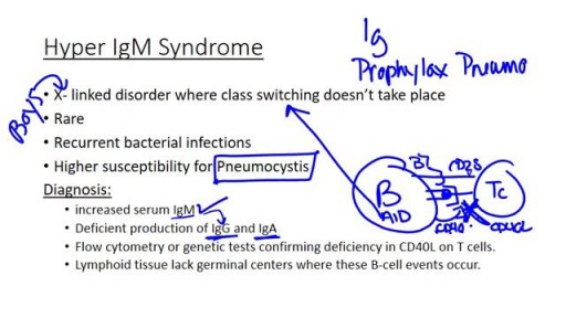 B cell Immunodeficiencies