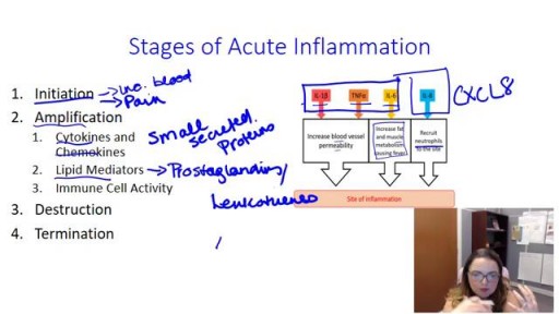 What is  Inflammation