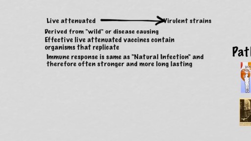 Types Of Vaccines