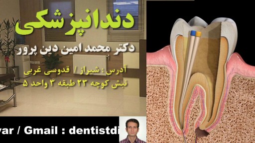 01_dinparvar_Endodontics