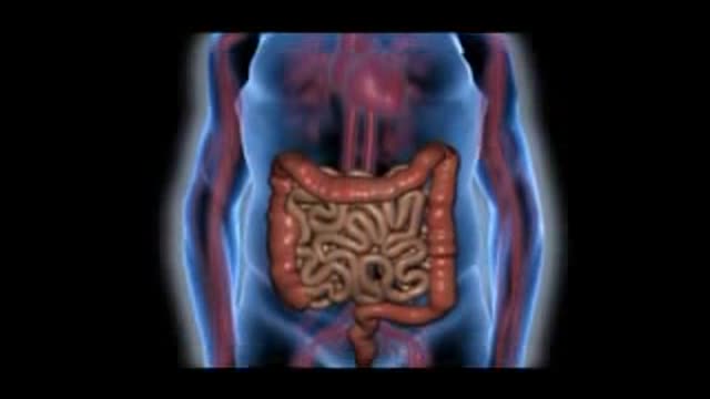 ⁣Cell Adhesion Molecule Inhibition Animation