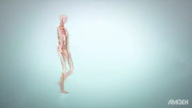⁣Introduction to Bone Biology 3D Animation