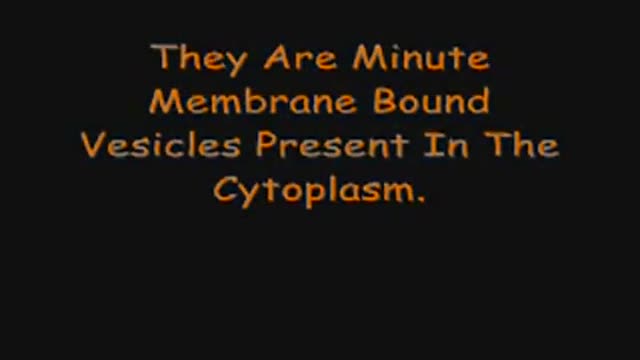 Cell Organelles in 3D