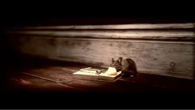 ⁣For Researchers Funny Mouse Commercial