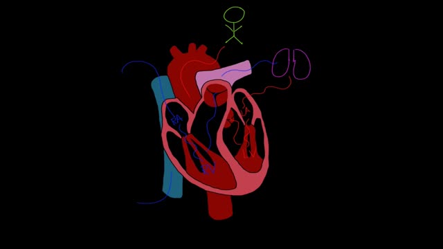 ⁣heart failure