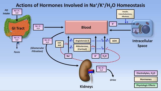 Hypokalemia