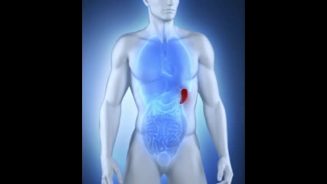 ⁣Spleen Pain