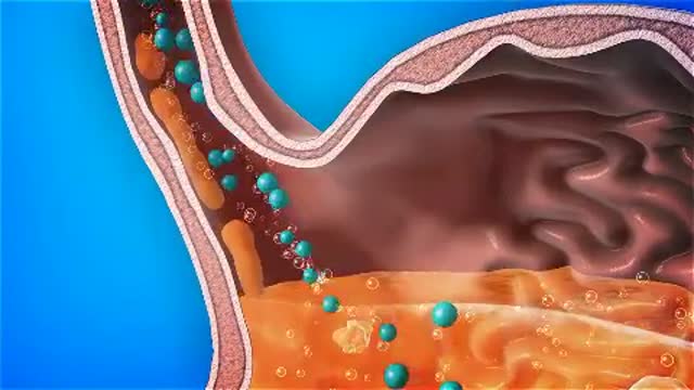 ⁣Proton pump inhibitors