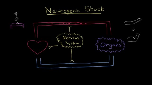 ⁣Neurogenic Shock