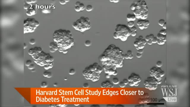 Is a New Treatment for Diabetes Near?