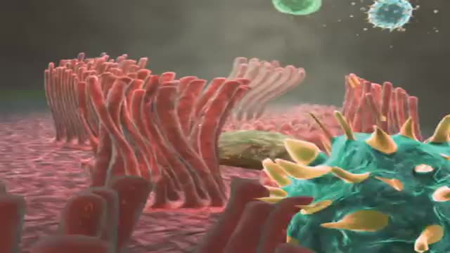 Microvilli