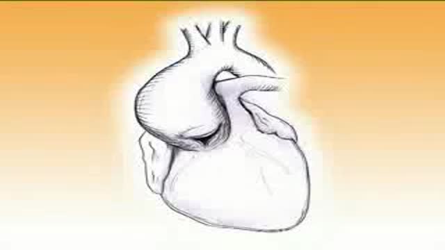 ⁣Aortic Valve-Sparing Operation