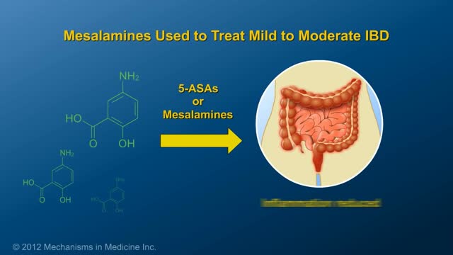 ⁣Risks and Benefits of IBD Therapies