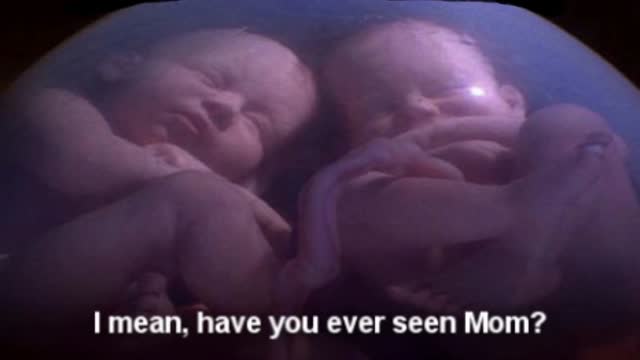 ⁣Twins Conversation in the Womb