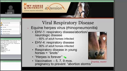 ⁣Respiratory Disease: Diagnosis, Treatment and Prevention