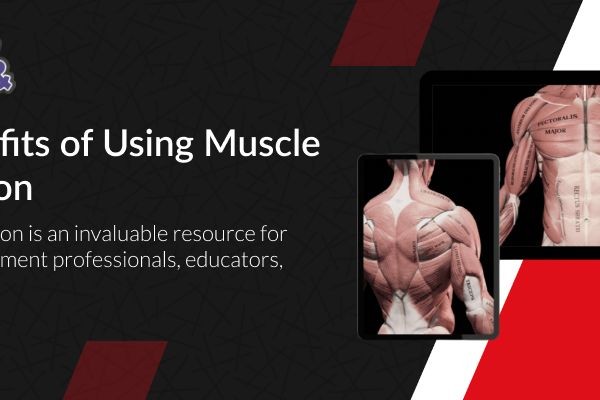 Muscle and Motion offers the best workout exercise app, animating human movements in 3D.