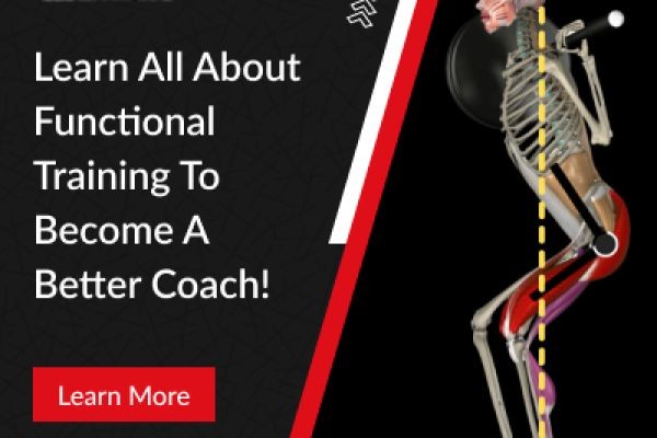 Muscle and Motion offers the best workout exercise app, animating human movements in 3D.
